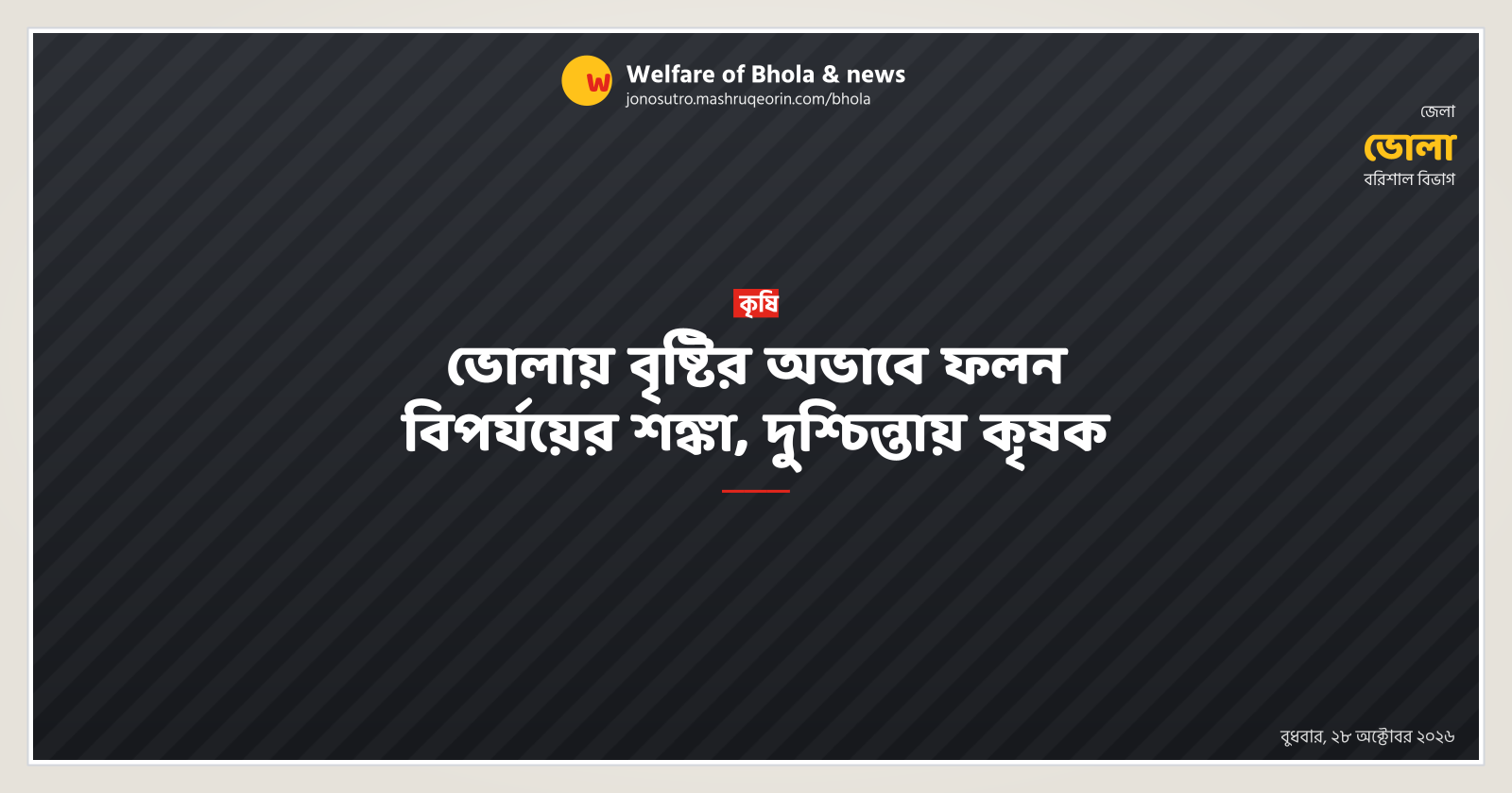 Crop failure fear in Bhola due to lack of rain, farmers worried