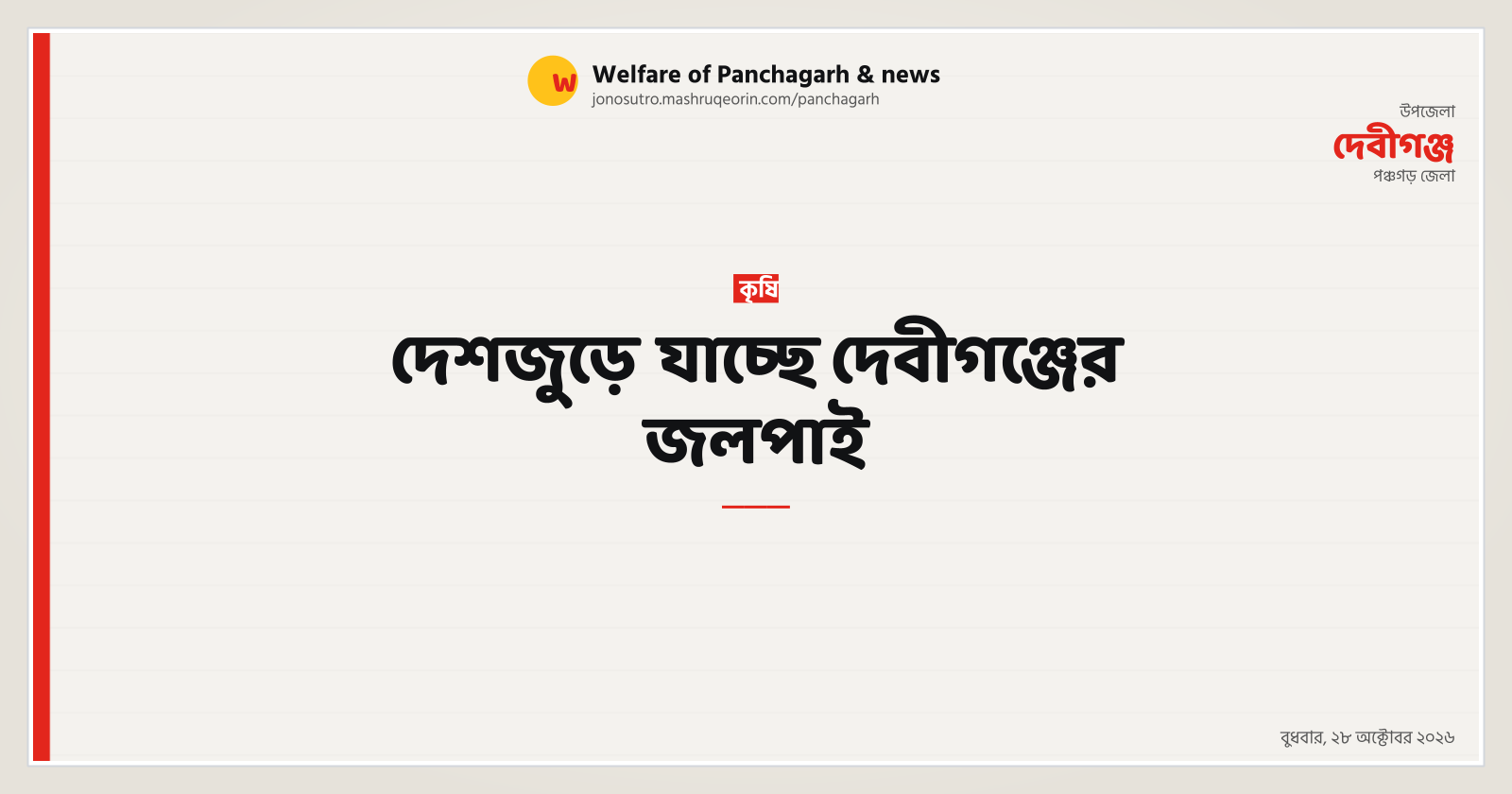 দেশজুড়ে যাচ্ছে দেবীগঞ্জের জলপাই