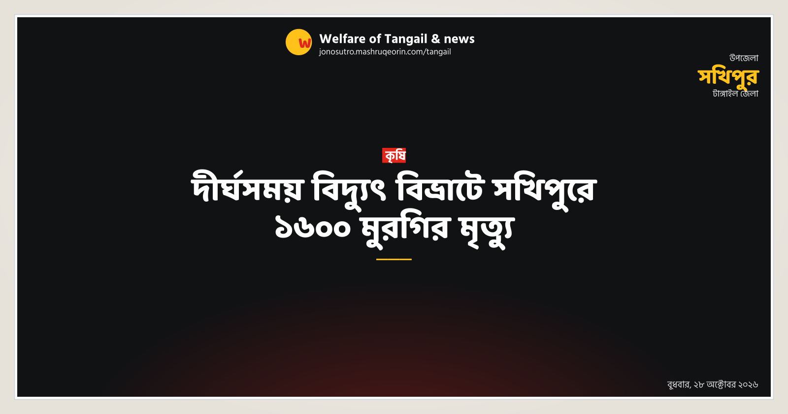 দীর্ঘসময় বিদ্যুৎ বিভ্রাটে সখিপুরে ১৬০০ মুরগির মৃত্যু